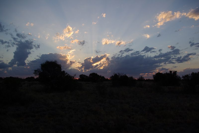 Lategan Safaris – Gallery
