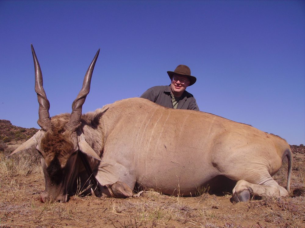 Eland
