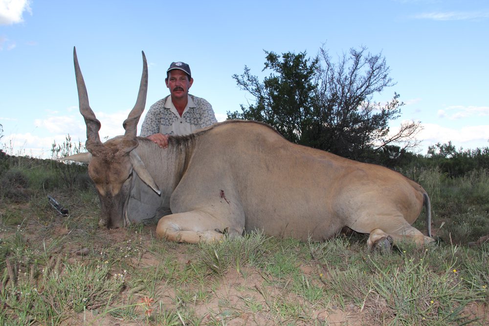 Eland