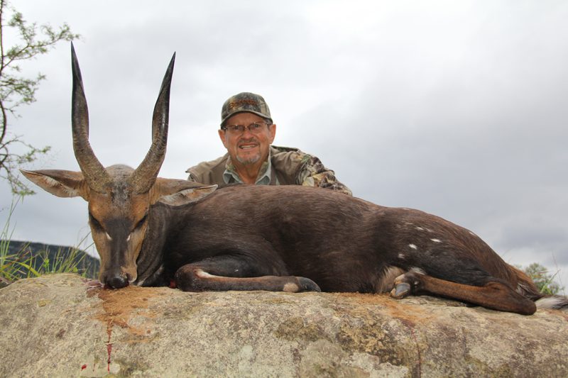Lategan Safaris – Gallery