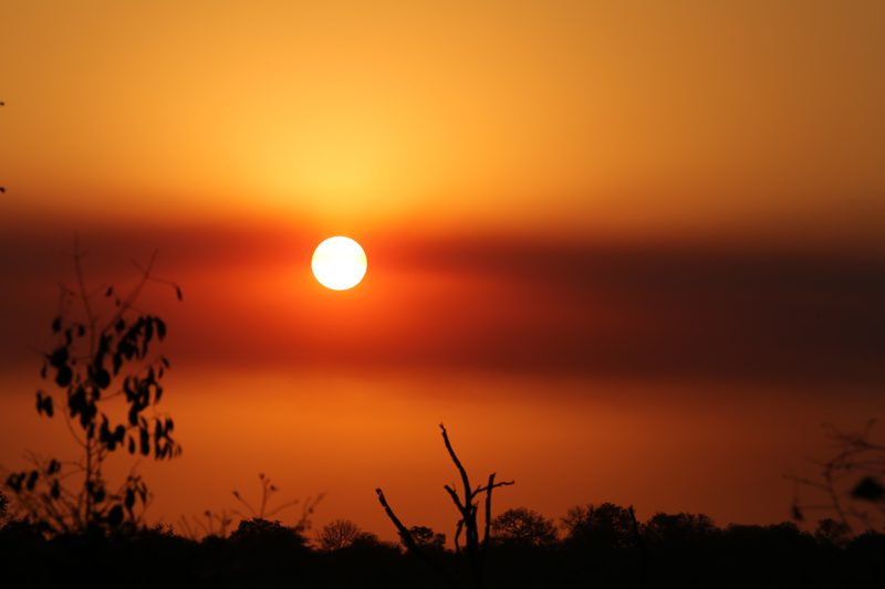 Lategan Safaris – Gallery