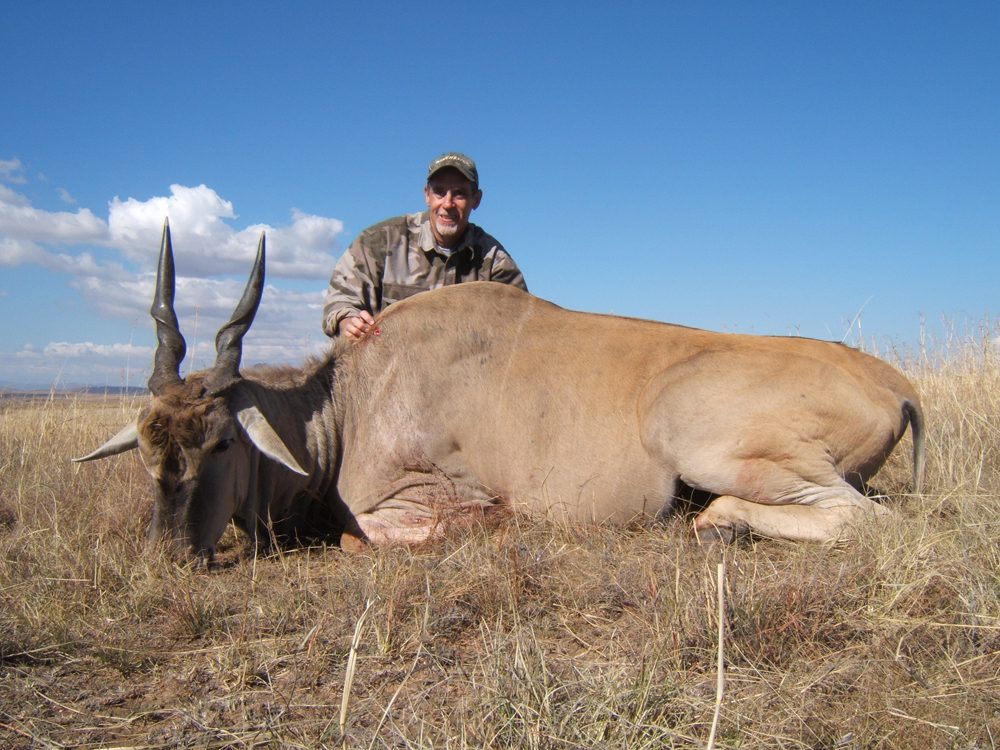 Eland