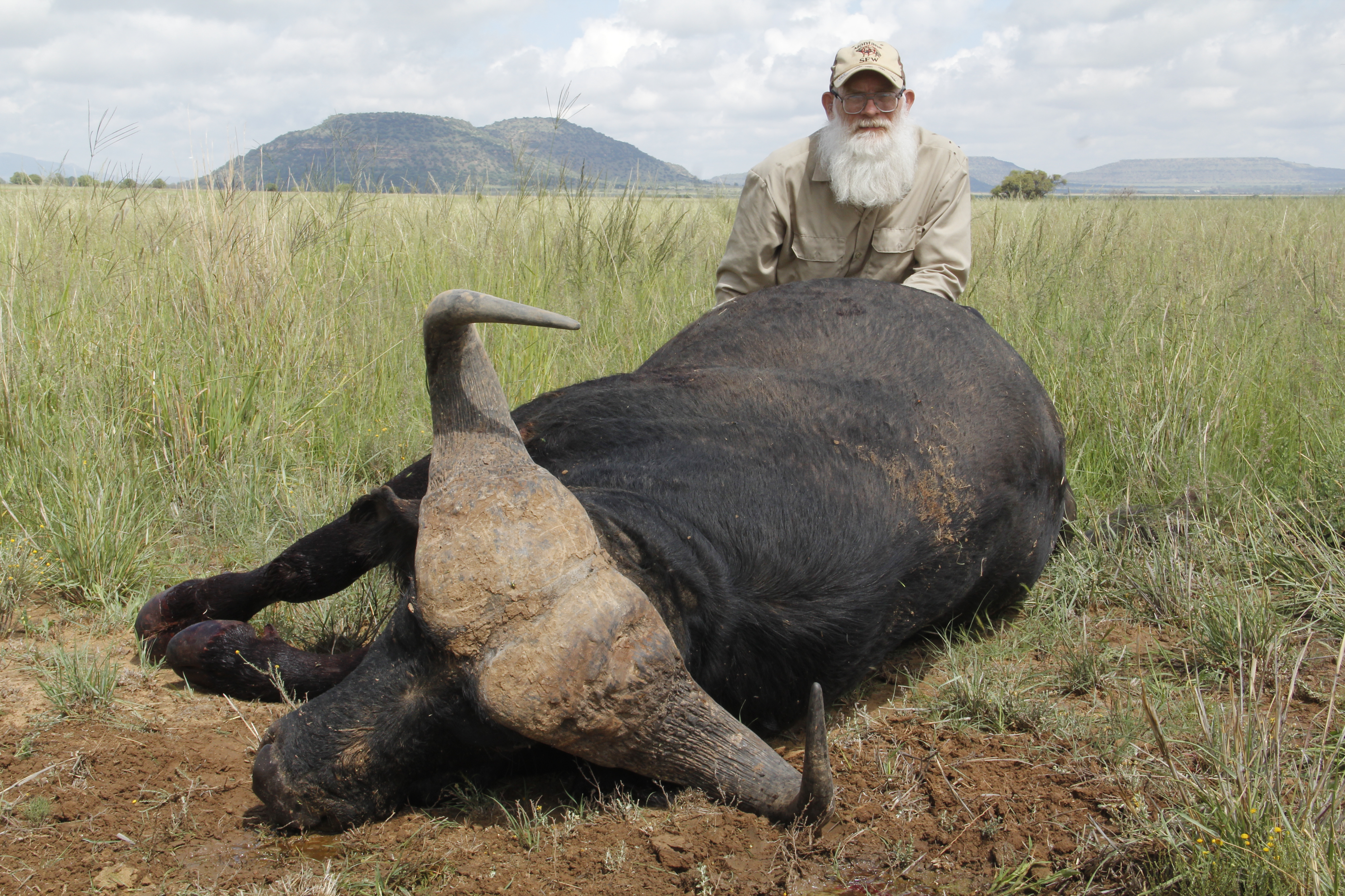 Buffalo