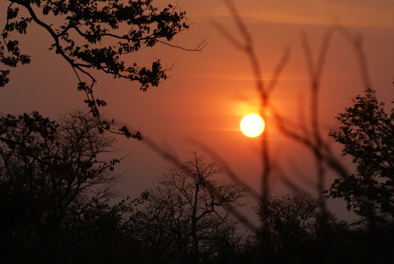 Lategan Safaris – Gallery