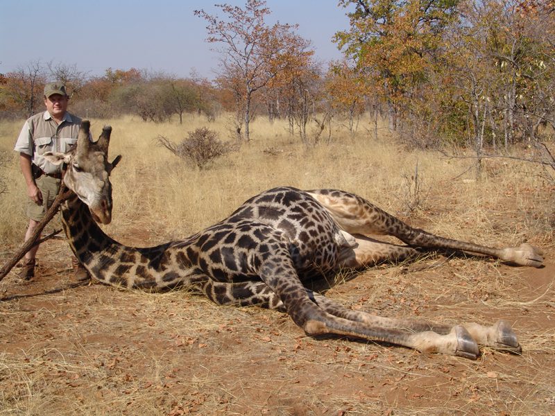 Lategan Safaris – Gallery