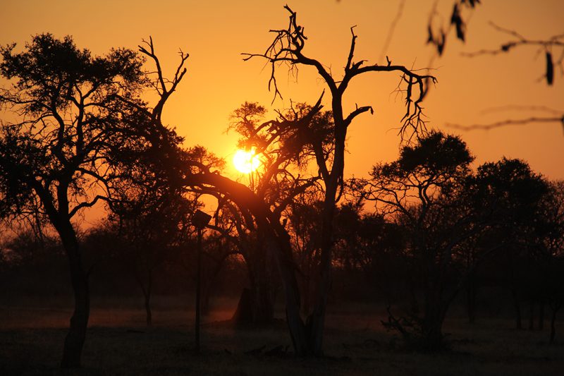 Lategan Safaris – Gallery