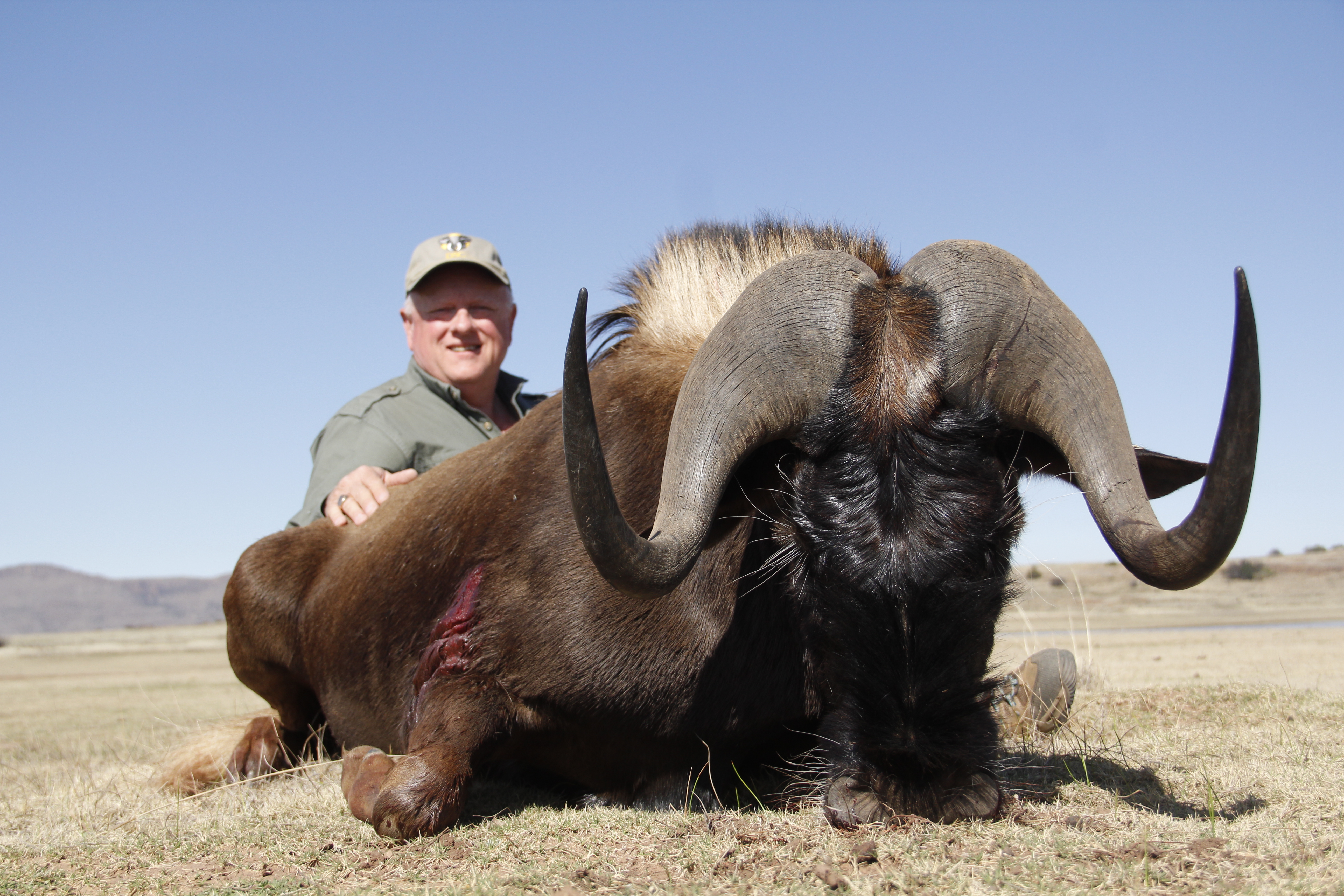Hunt Curtis 201
