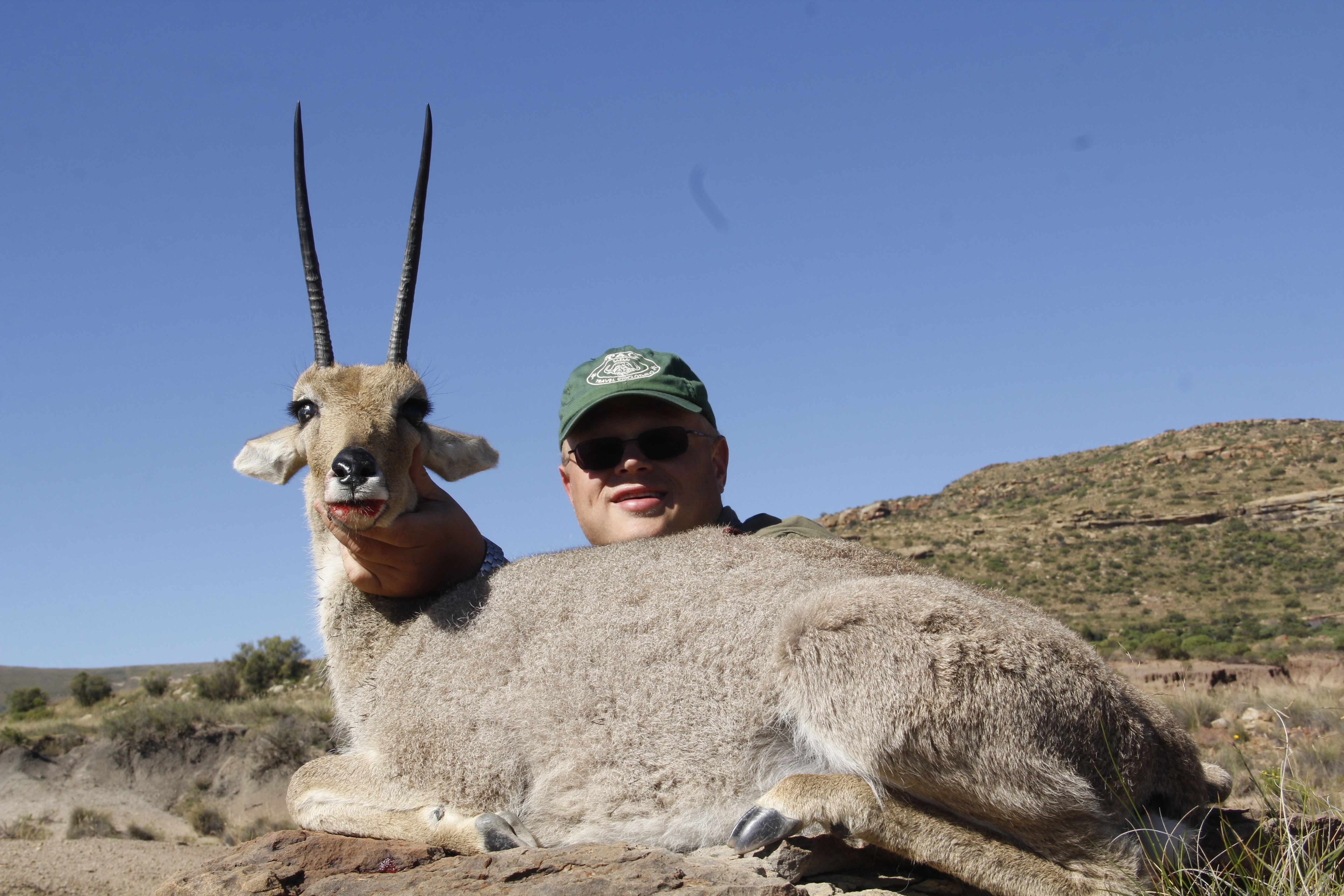 Grey Rheebuck
