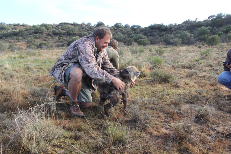 Lategan Safaris – Gallery