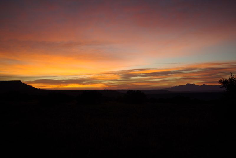 Lategan Safaris – Gallery