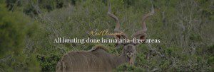 Lategan Safaris rest assured