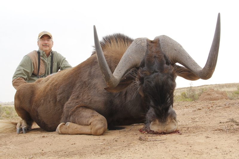 Lategan Safaris – Gallery