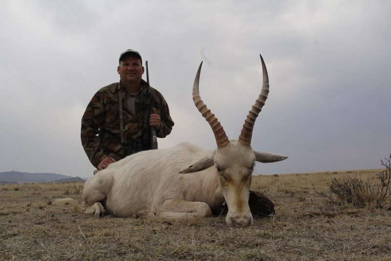 Lategan Safaris – Gallery