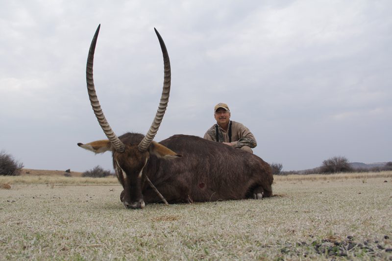 Lategan Safaris – Gallery