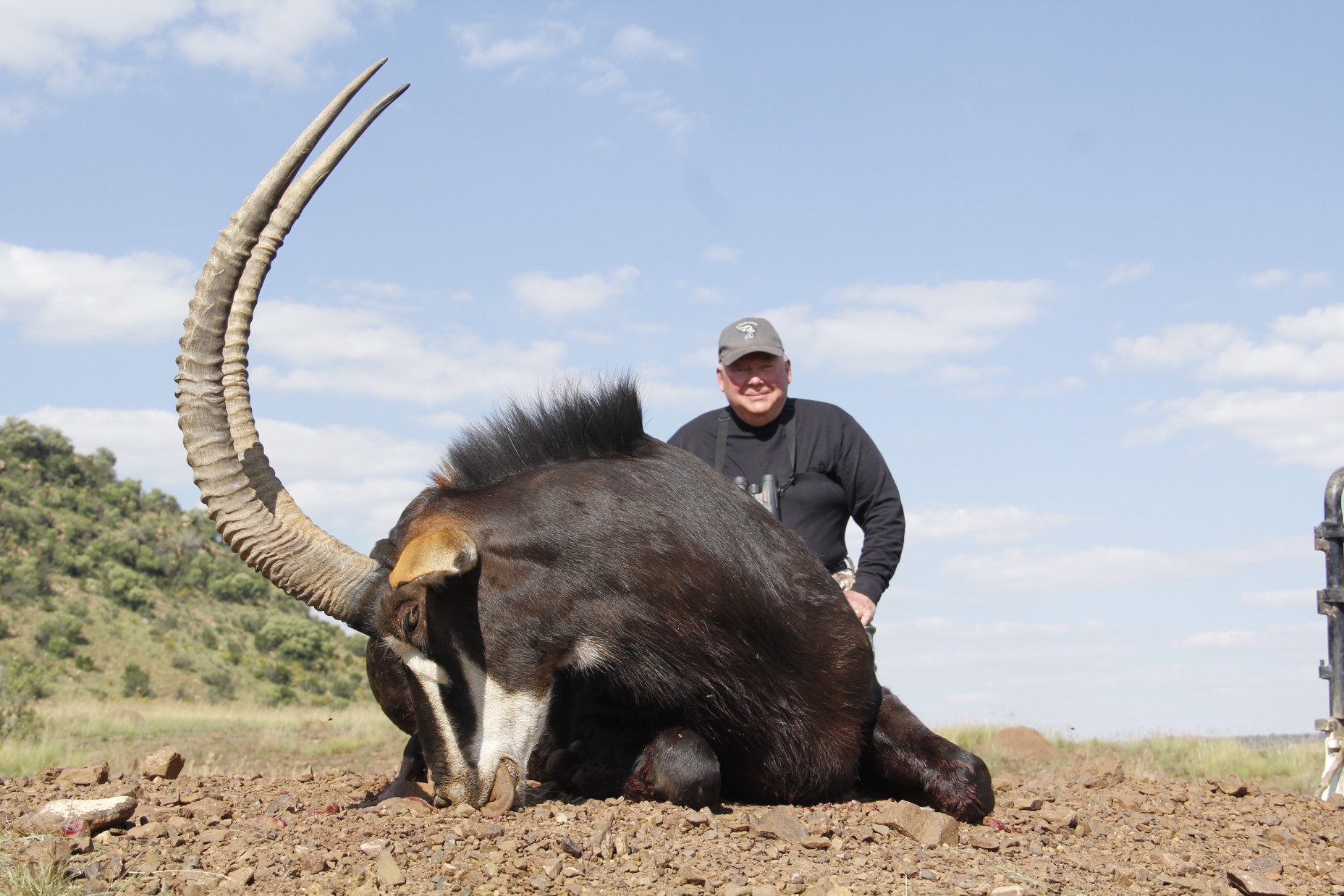 Lategan Safaris – Gallery