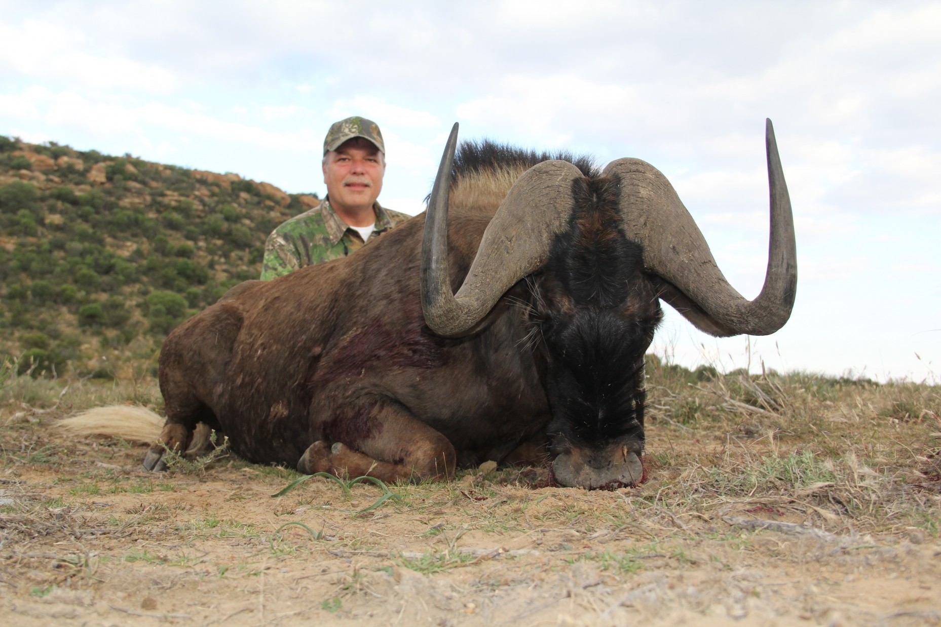 Lategan Safaris – Gallery