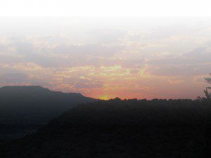 Species-Lategan-Safaris