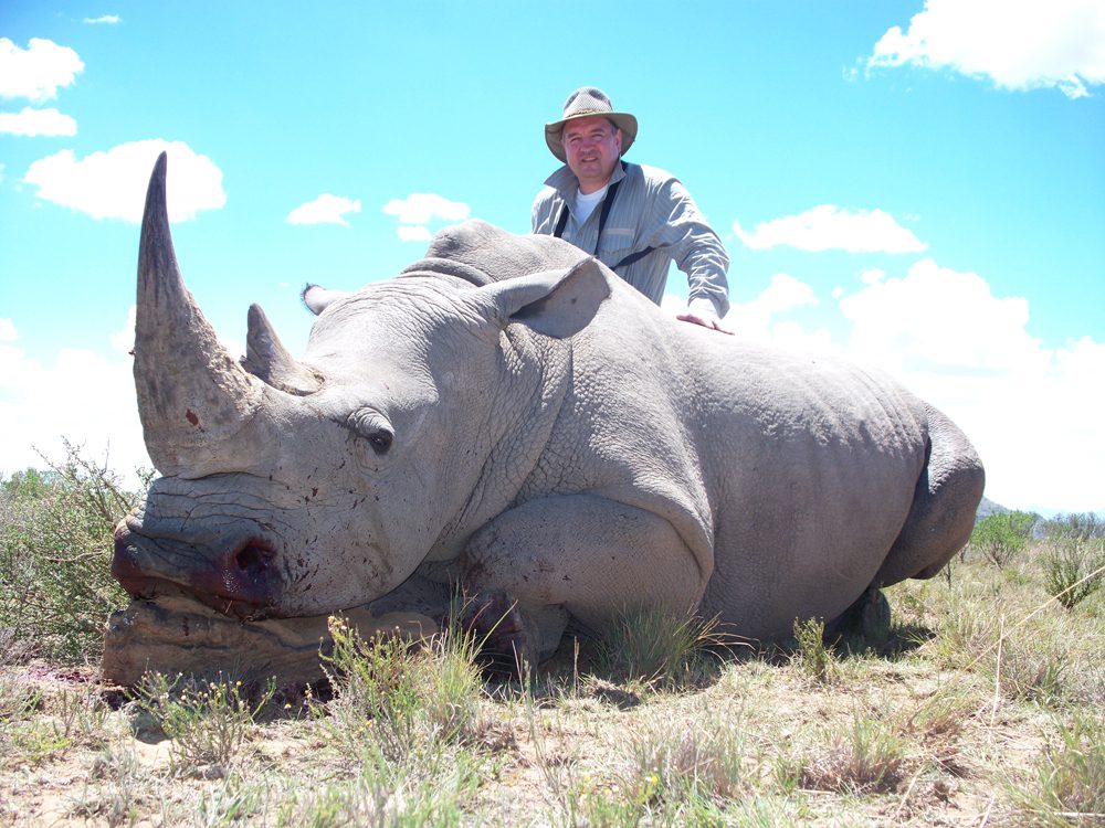 White Rhinocerus