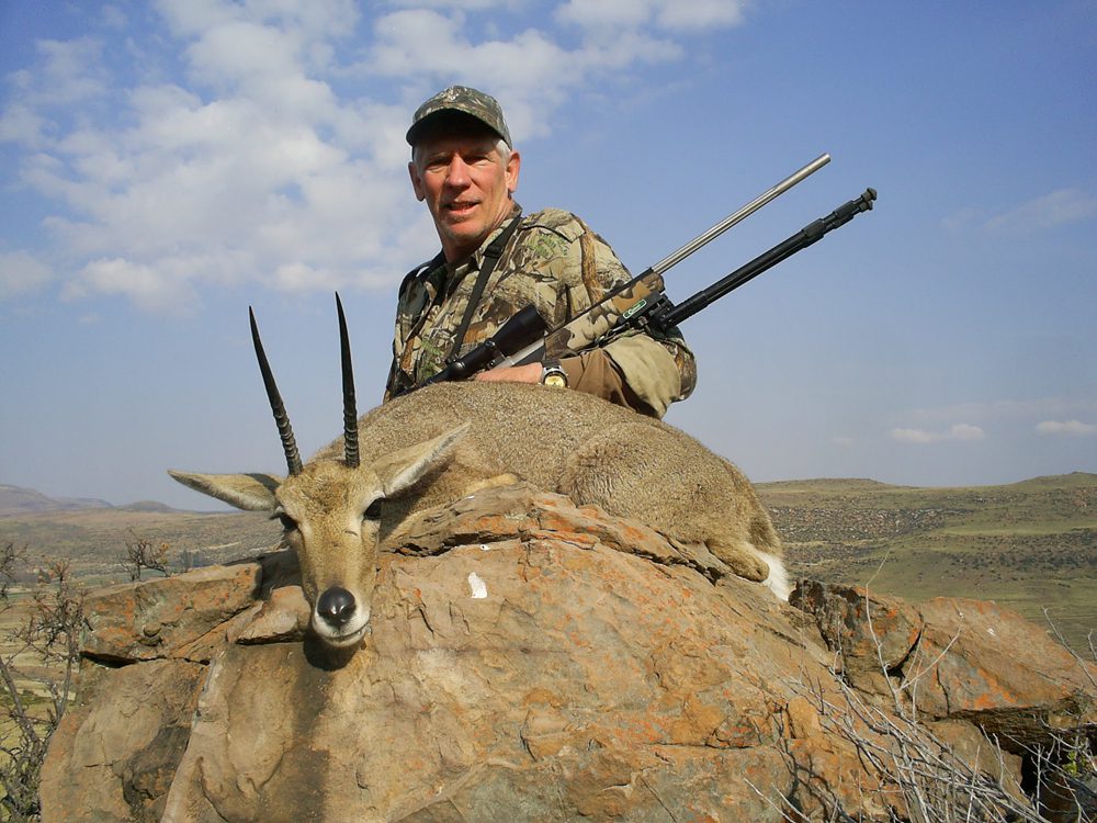 Grey Rheebuck