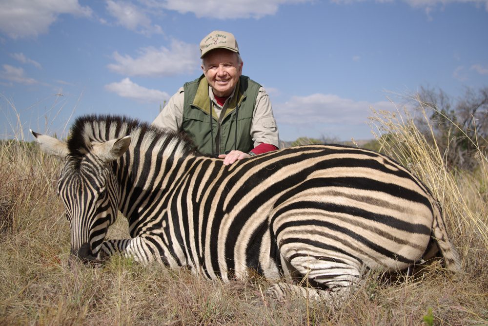 Burchell Zebra
