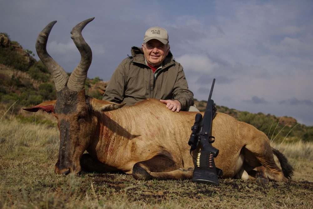 Hartebeest