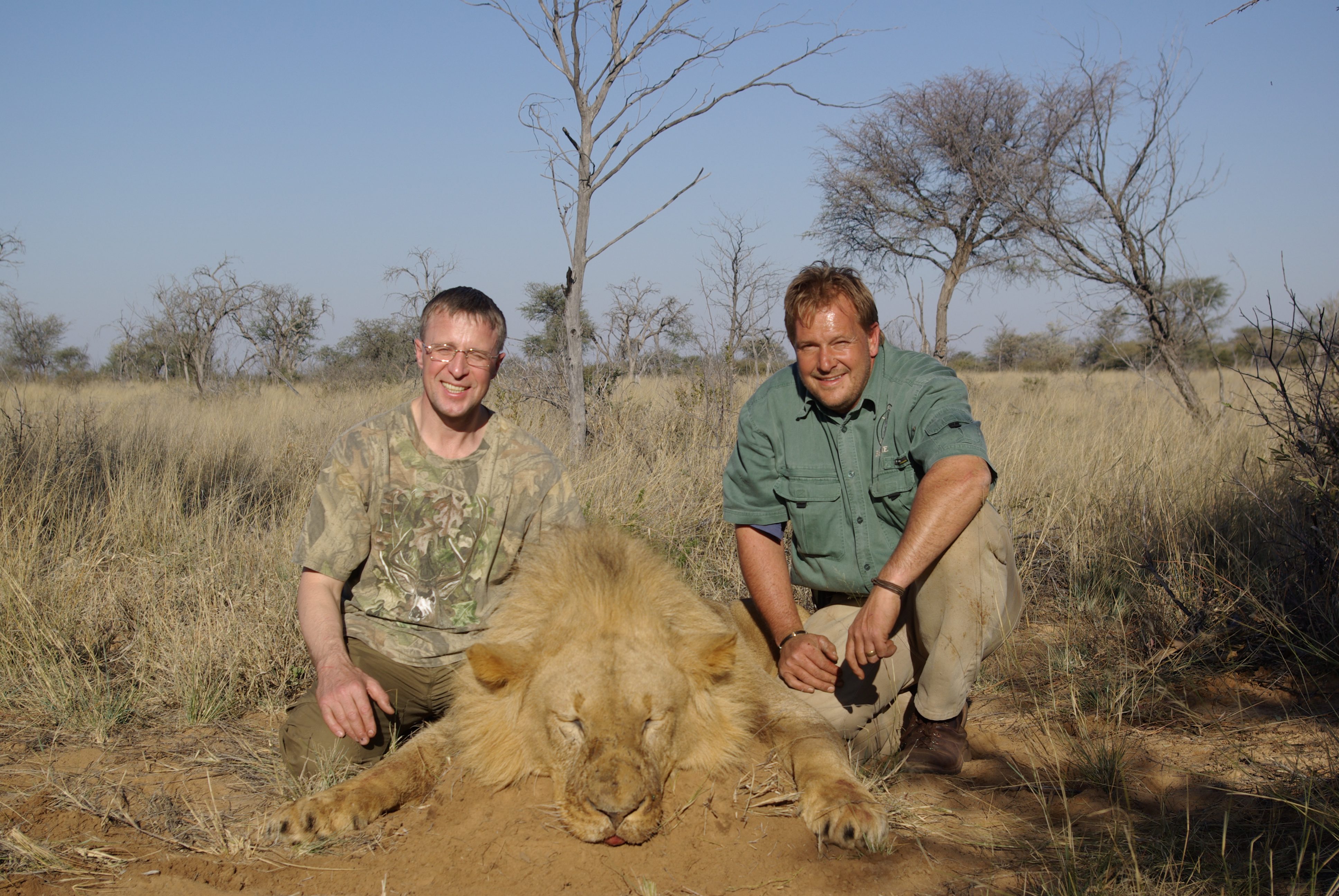 Lion