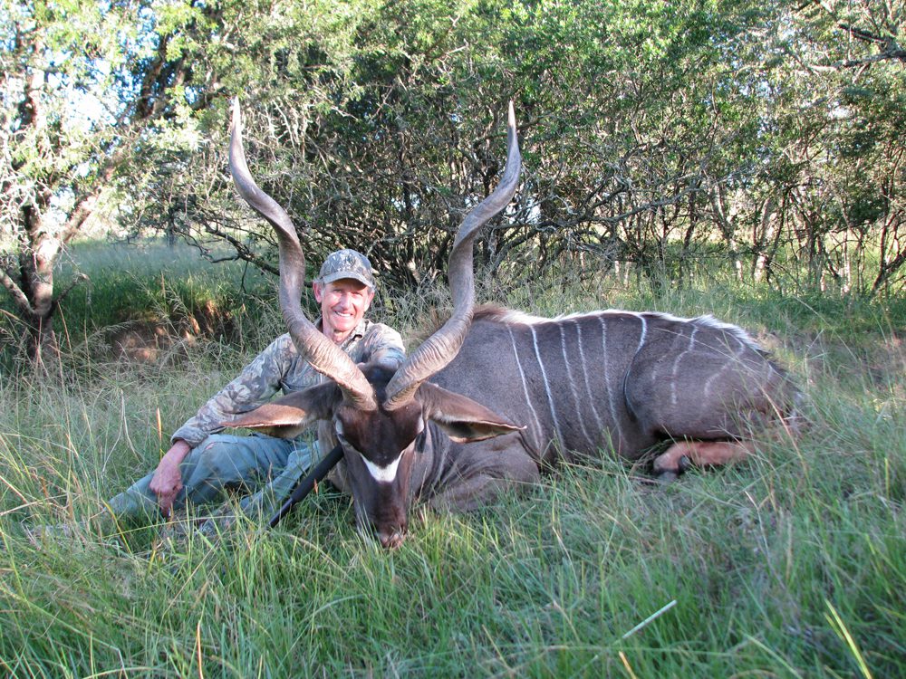 Kudu