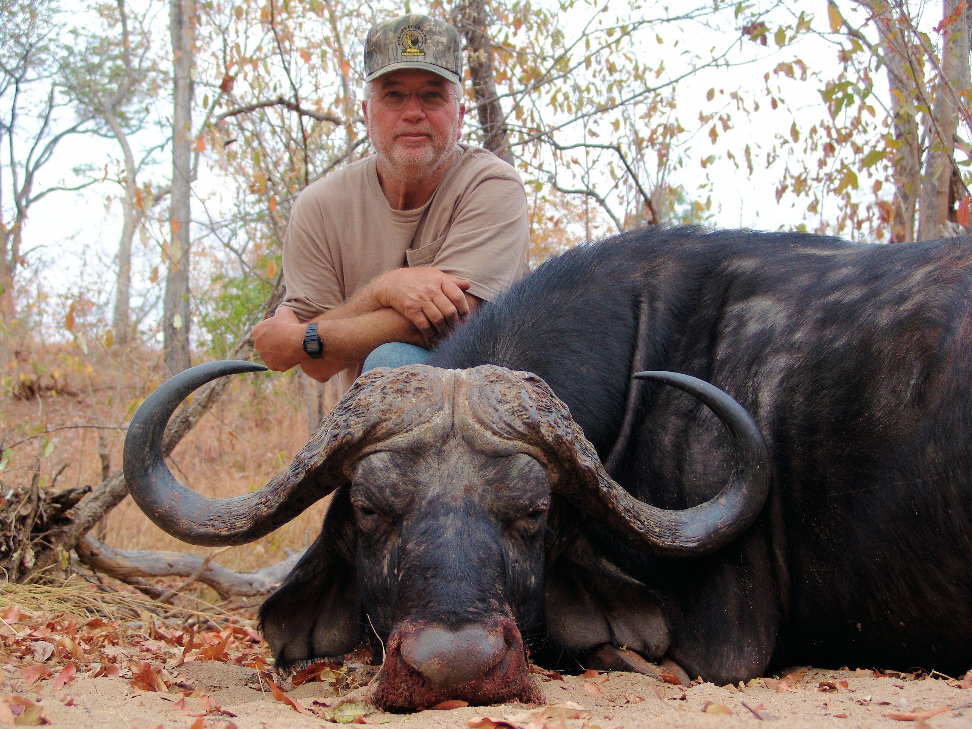 Buffalo