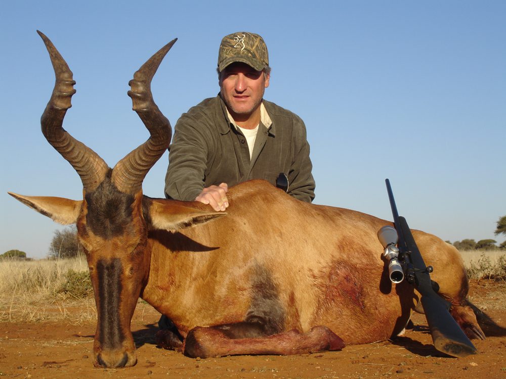 Hartebeest