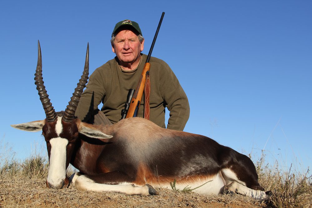 Bontebok