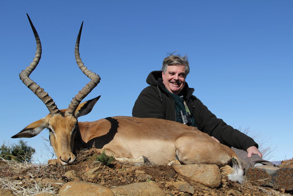 Impala
