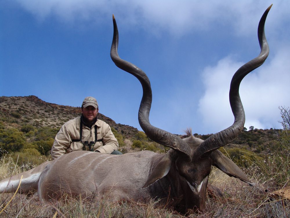 Kudu