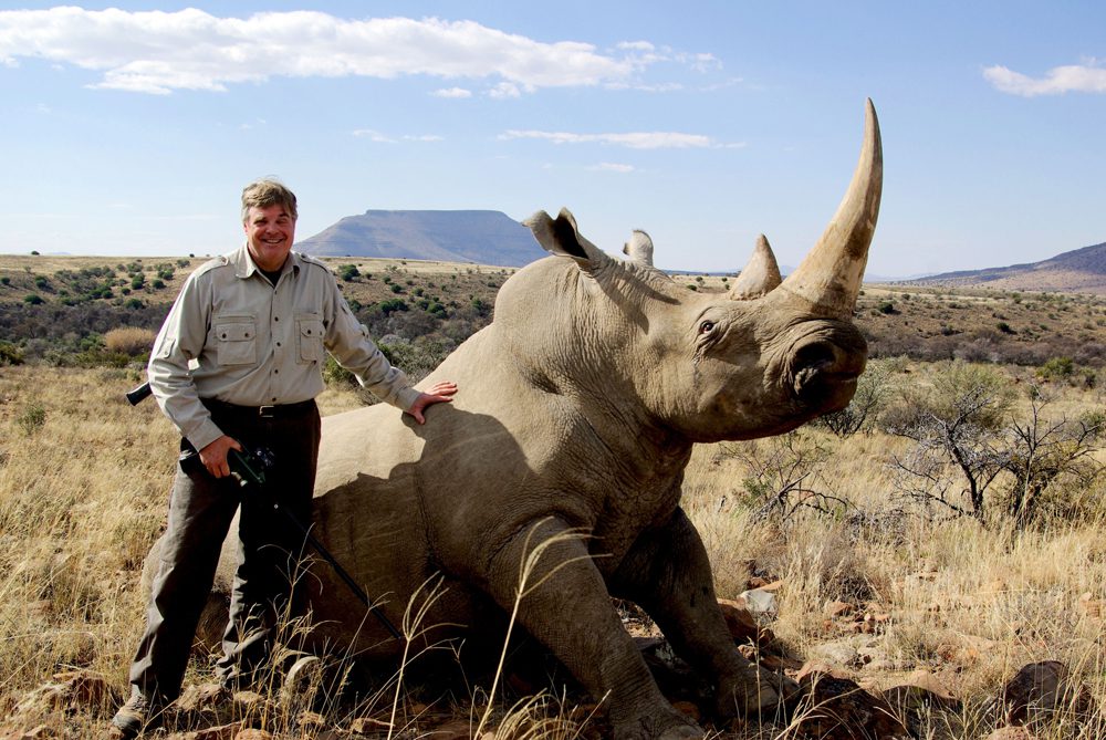 White Rhinocerus