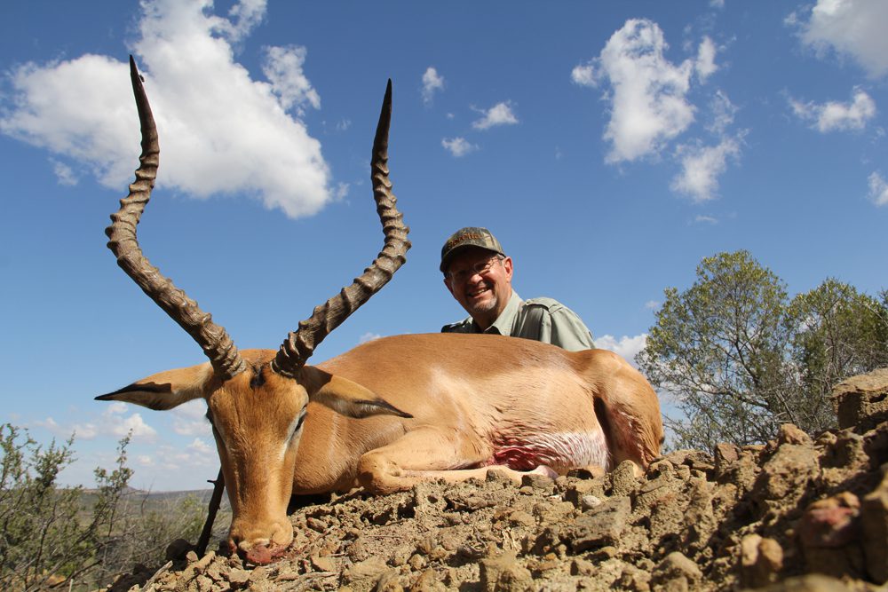 Impala