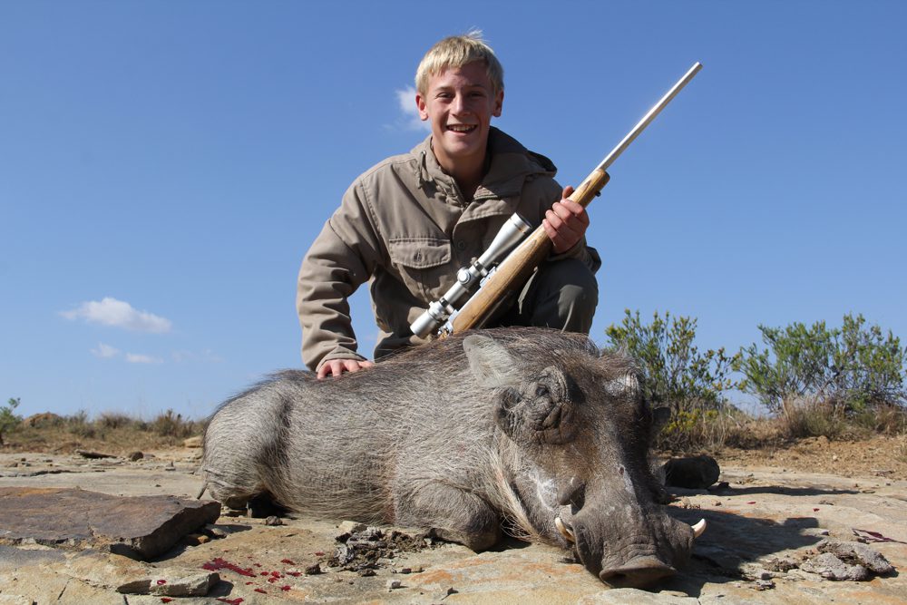 Warthog