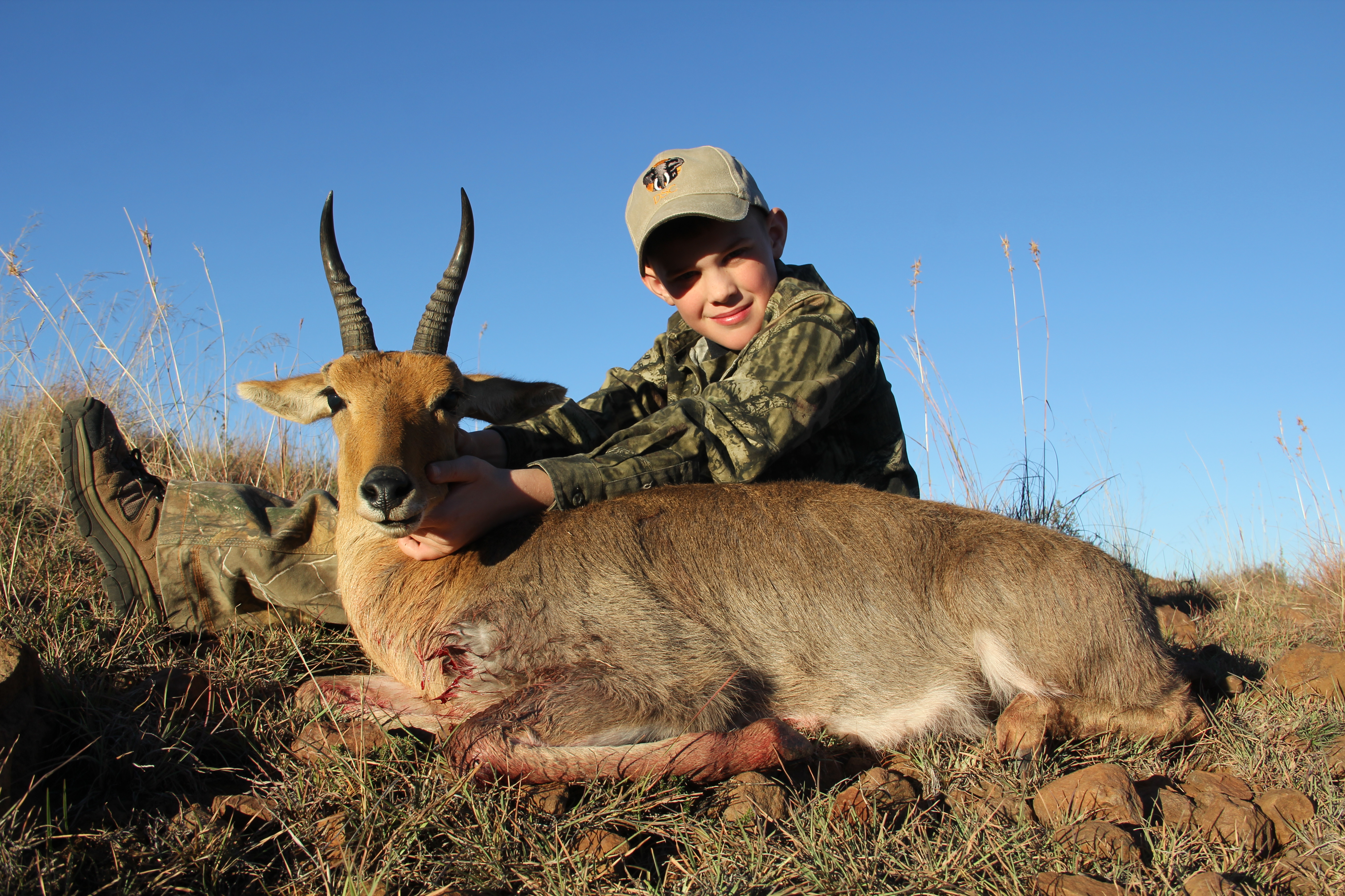 Mountain Reedbuck