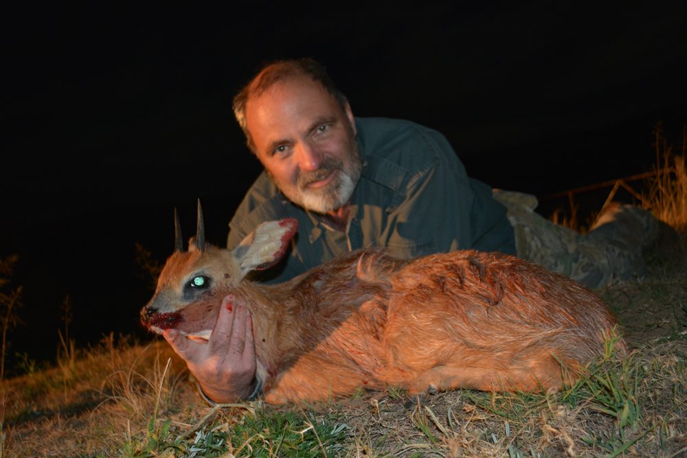 Grysbuck