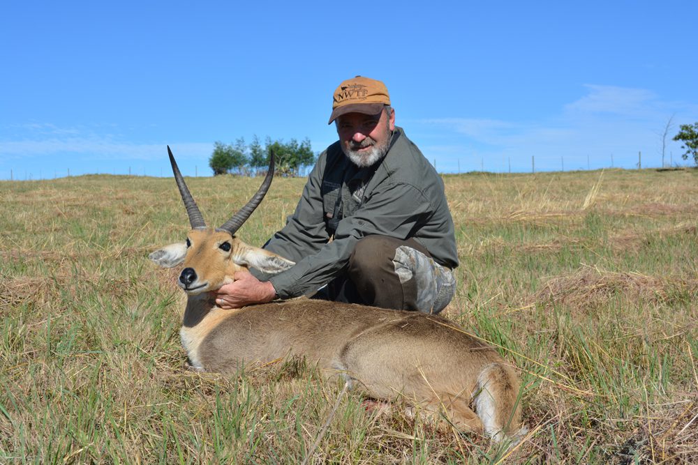 Reedbuck