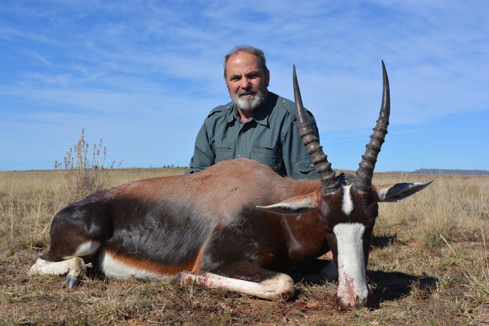 Bontebok