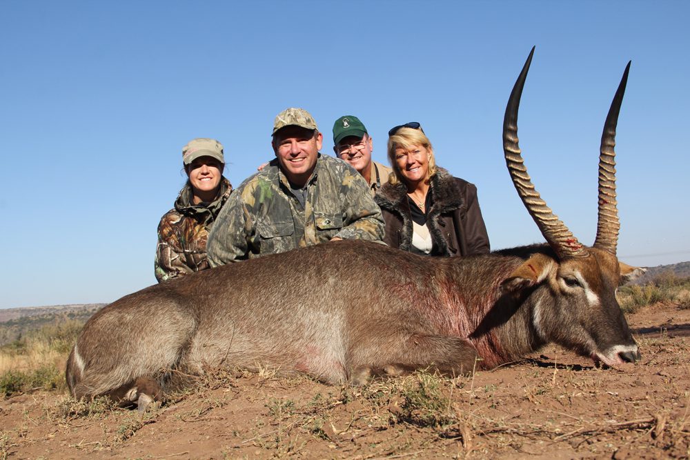 Waterbuck