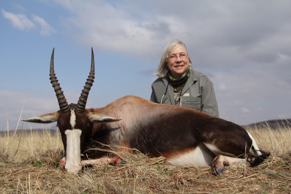 Bontebok