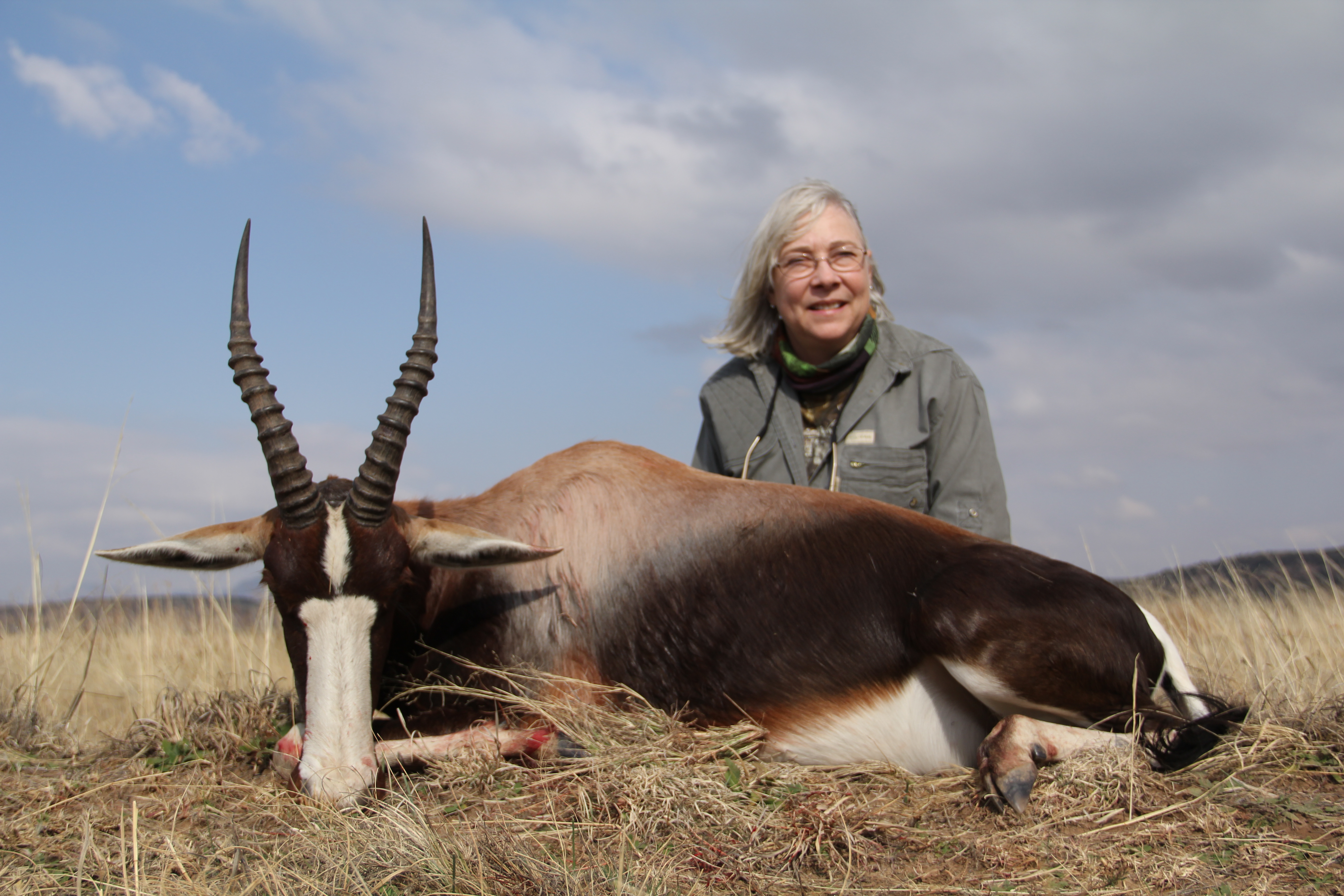 Bontebok