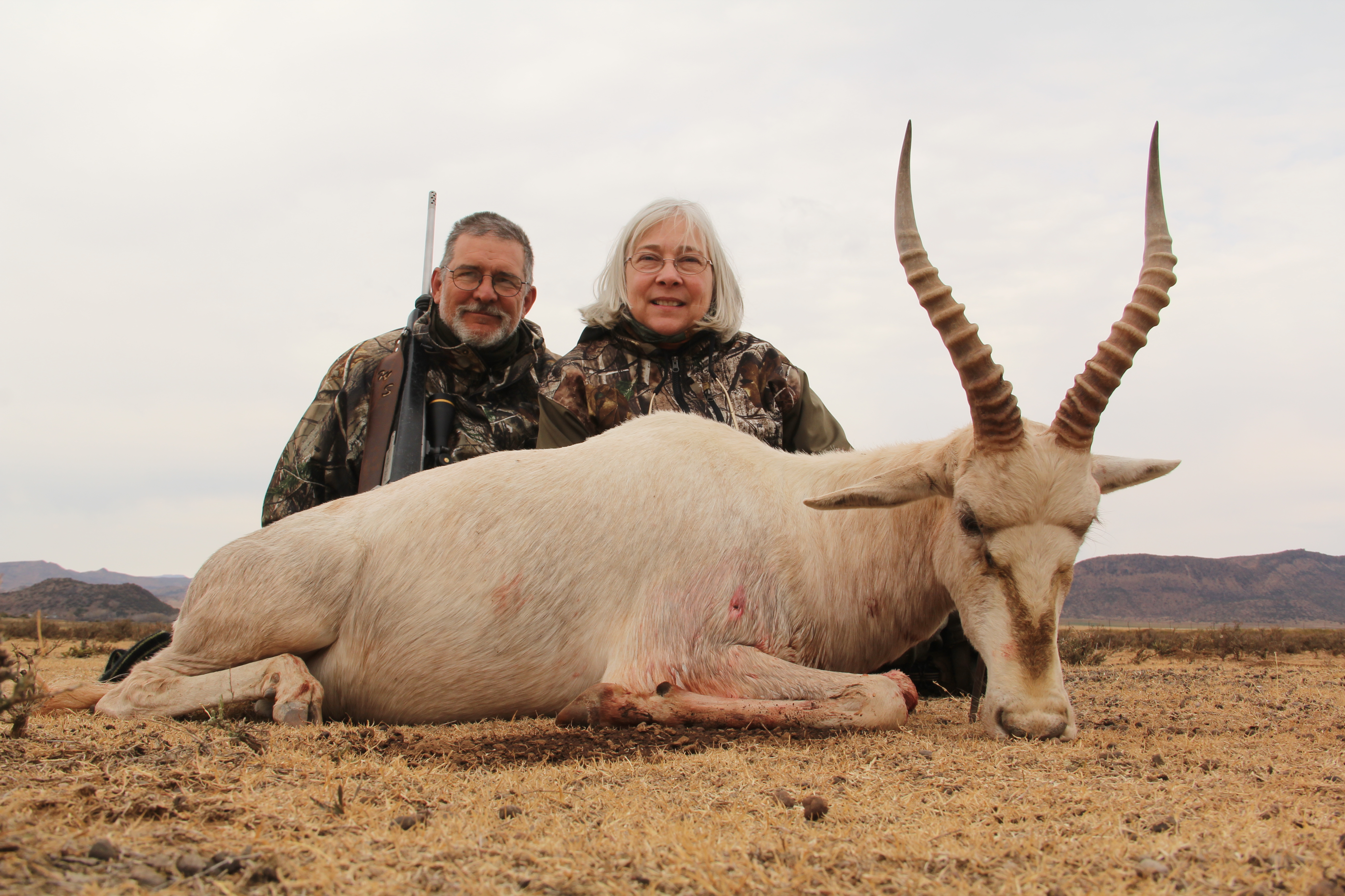 White Blesbuck