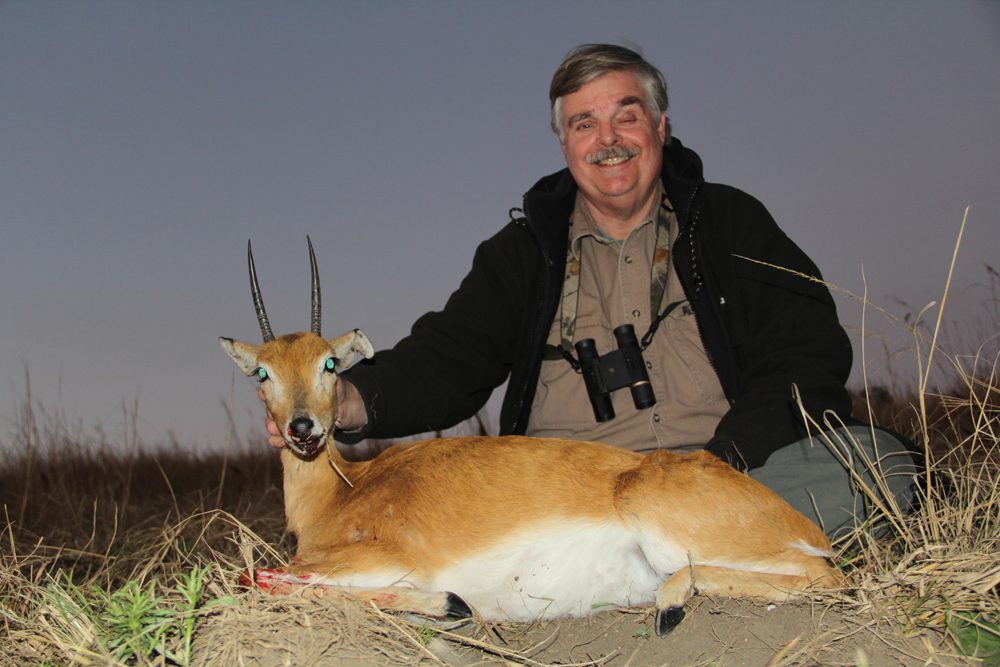Oribi