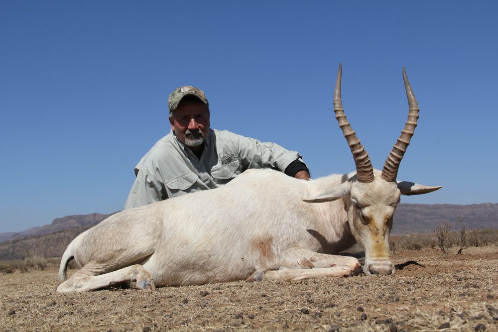 White Blesbuck