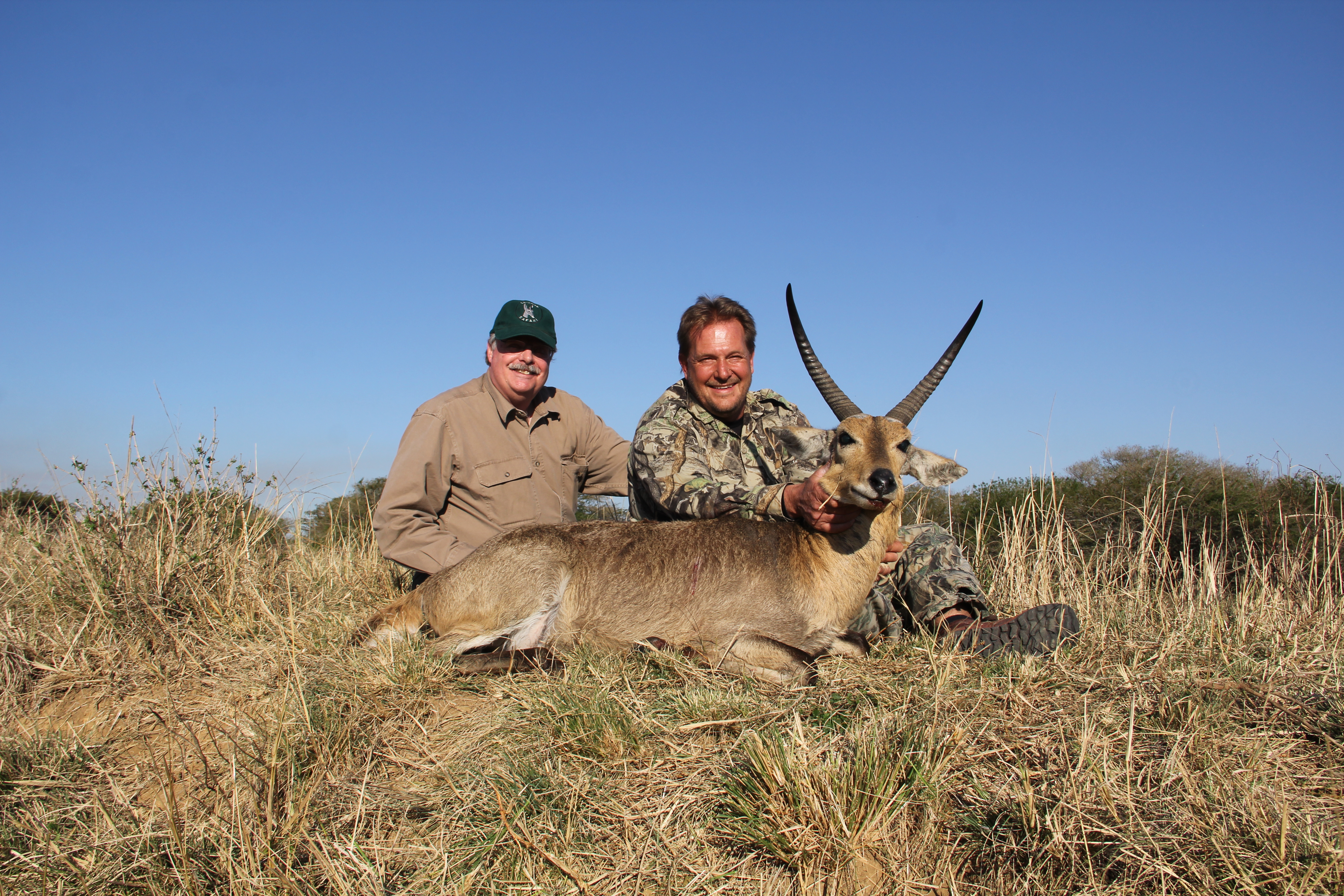 Reedbuck