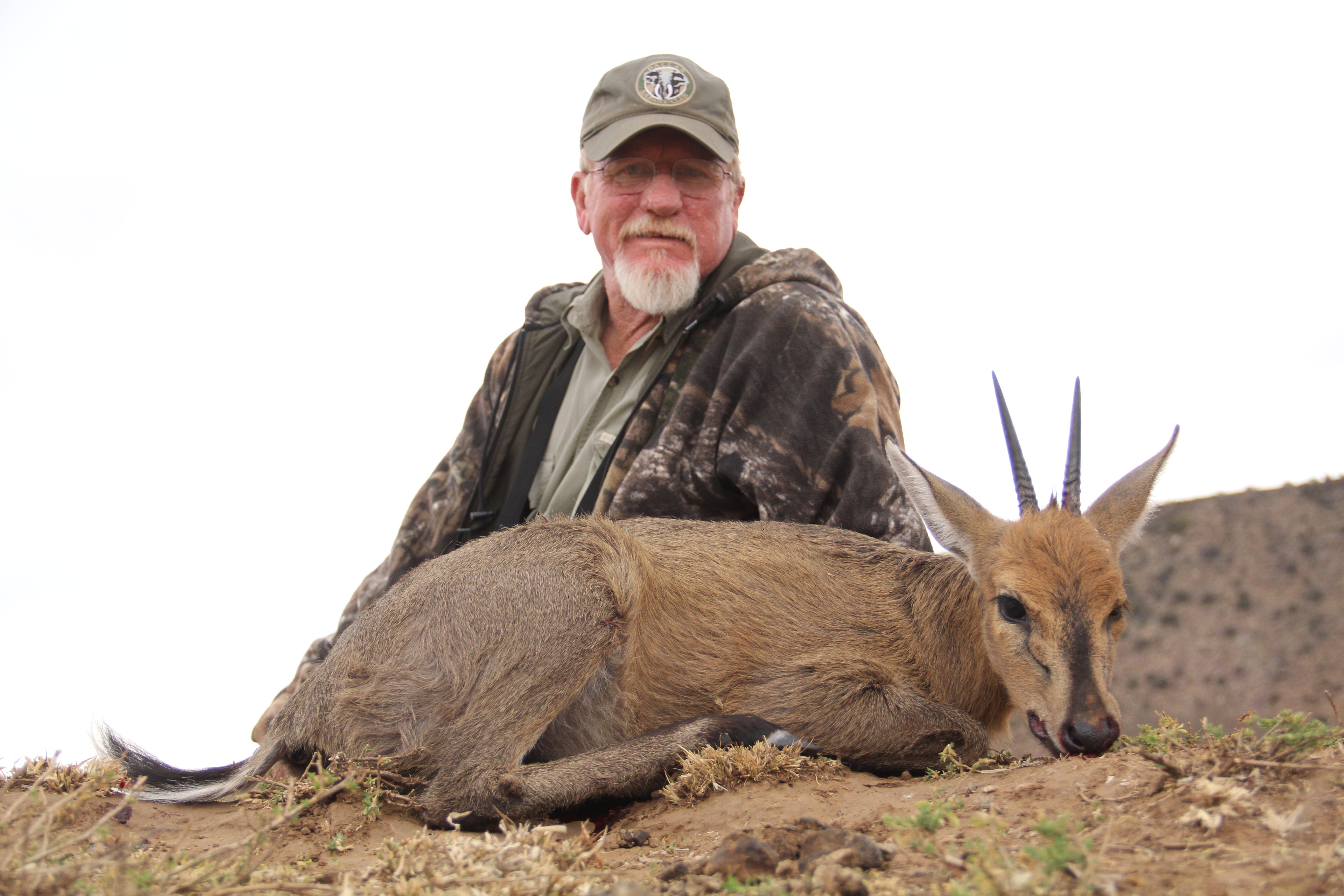 Duiker