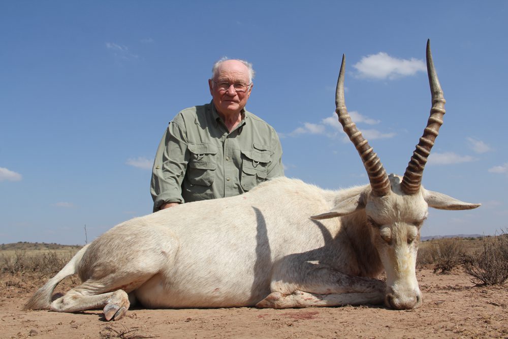 White Blesbuck