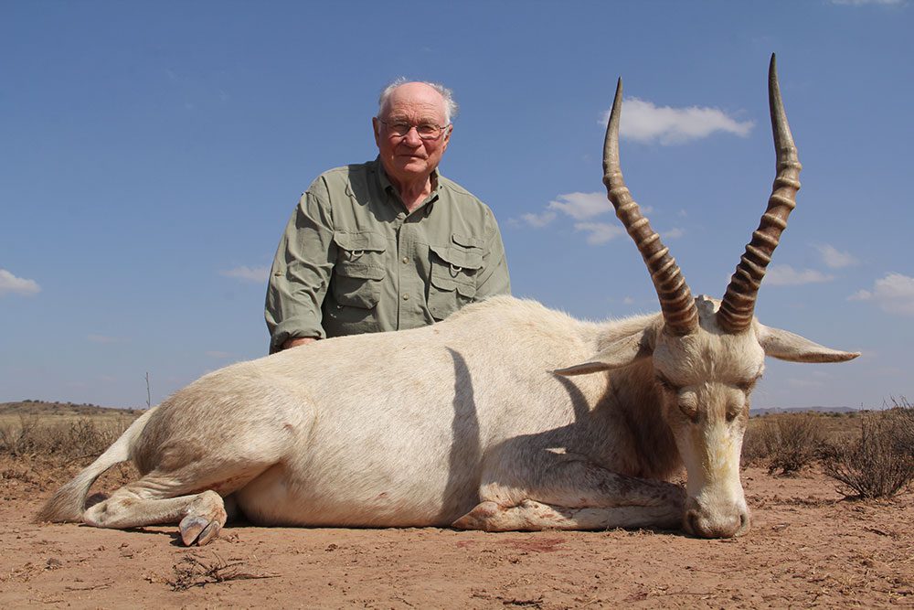 White Blesbuck