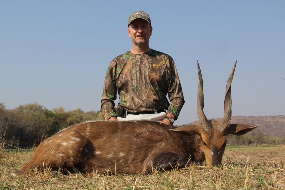 Bushbuck